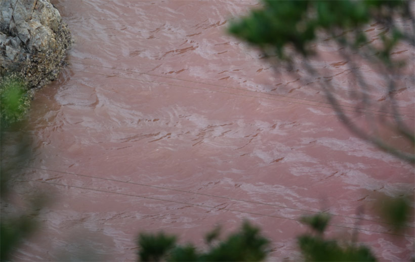 Die Mörder von Taiji hinterliessen ein blutiges Schlachtfeld als sie die Bucht verliessen