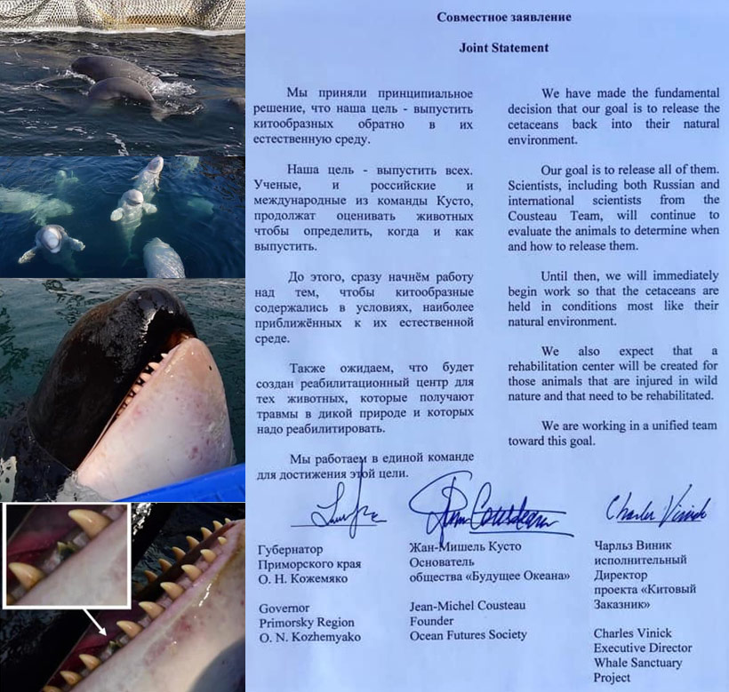 Unterzeichnete Urkunde vom 10. 04. 2019 für die Freilassung der hundert Orcas und Belugas 