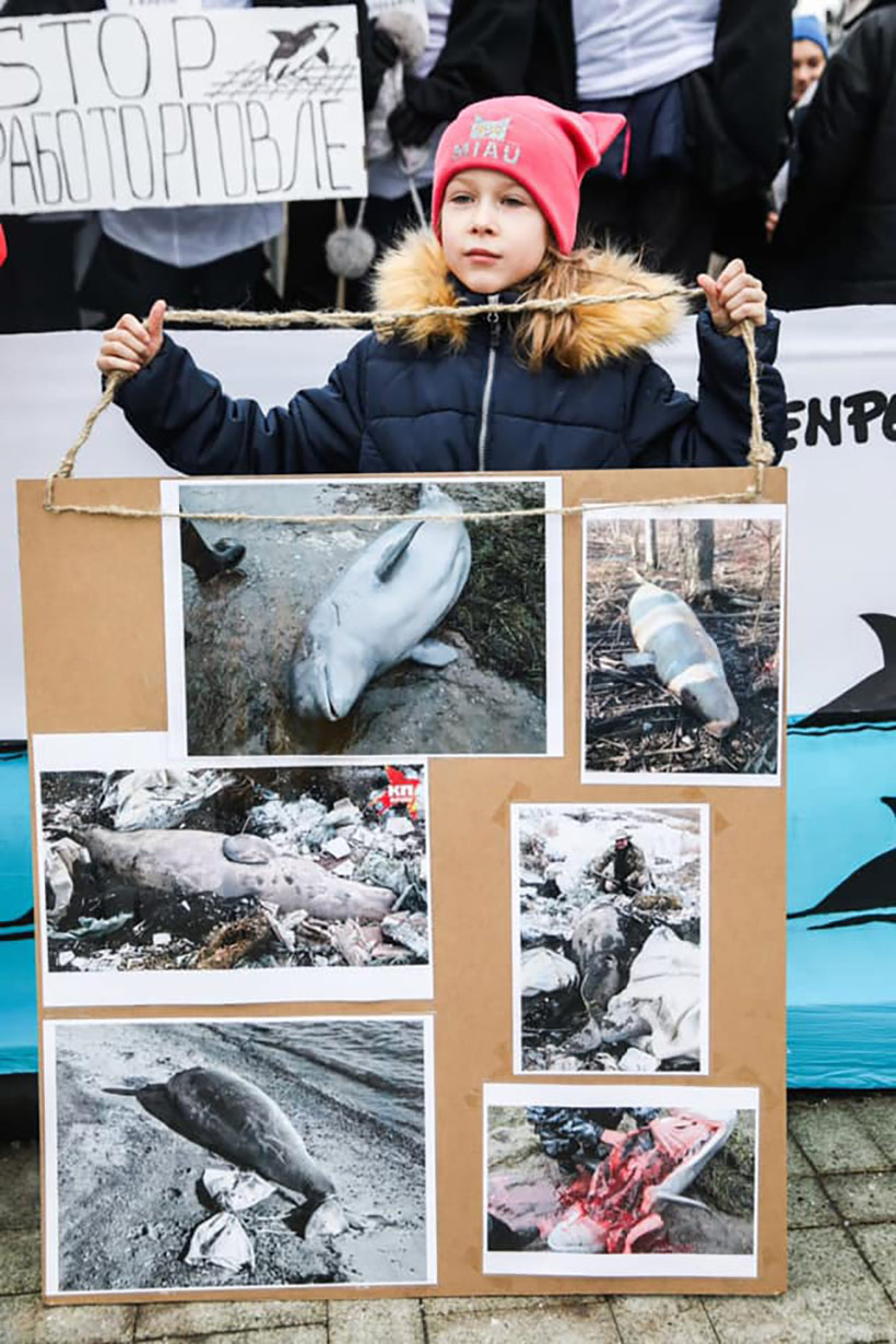 Die Jugend mischt sich in Moskau unter die Demonstranten, ihre Stimme für die Wale ist eindrücklich
