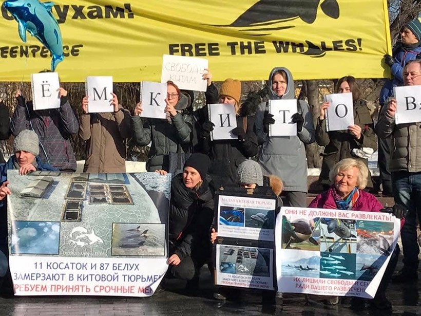 März 2019, Protester aller Altersgruppen demonstrieren für die gefangenen Orcas und Belugawale