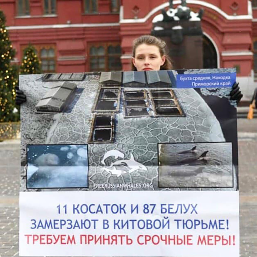 Die erste Aktivistin anfangs Januar 2019 in Moskau vor dem Kreml macht mit ihrem Plakat auf die Misere des Walgefängnisses aufmerksam