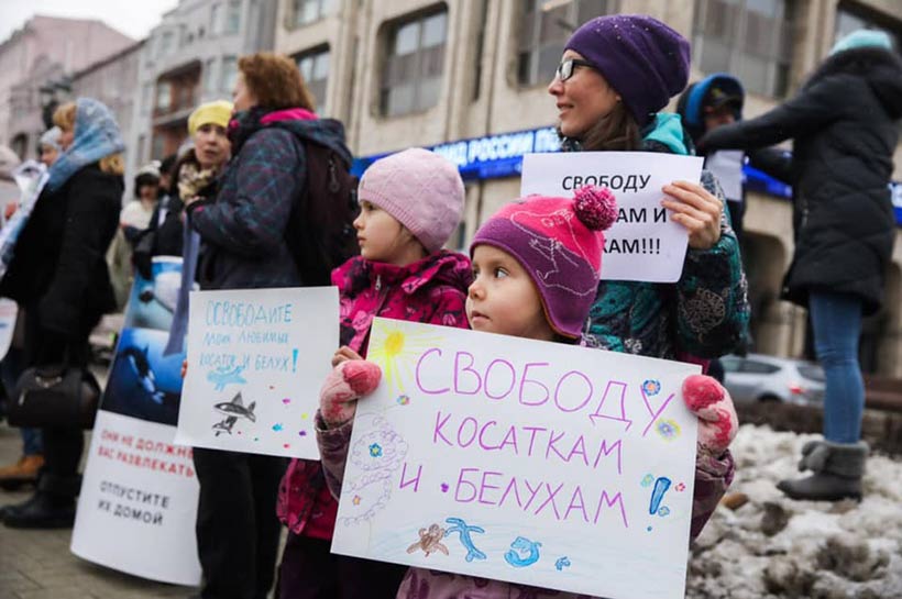 Bild: Demonstranten in Moskau, jung und alt geben den Orcas und Belugawalen eine Stimme