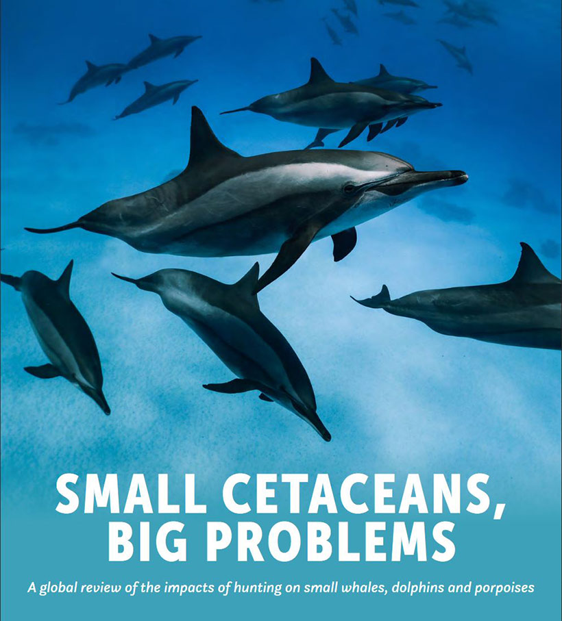 WDC -SMALL CETACEANS, BIG PROBLEMS