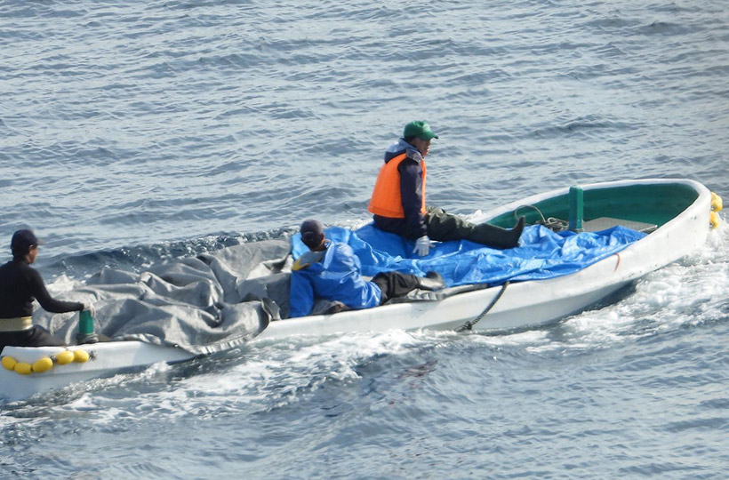 Das zweite Boot mit unter Planen vesteckten Delfinleichen verlässt die Bucht