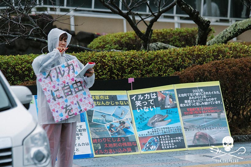 Diese Frau gehört zu den Protestern, die seit zwei Tagen vor dem Taiji Whale Museum mit grossem Engagement und in grosster Gefahr Besucher über die Verbrechen an Delfinen in Taiji aufklären