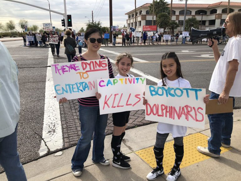 Dolphin Project. Sogar Kinder Zeigen viel mehr Courage als für Politikern jemals zumutbar ist