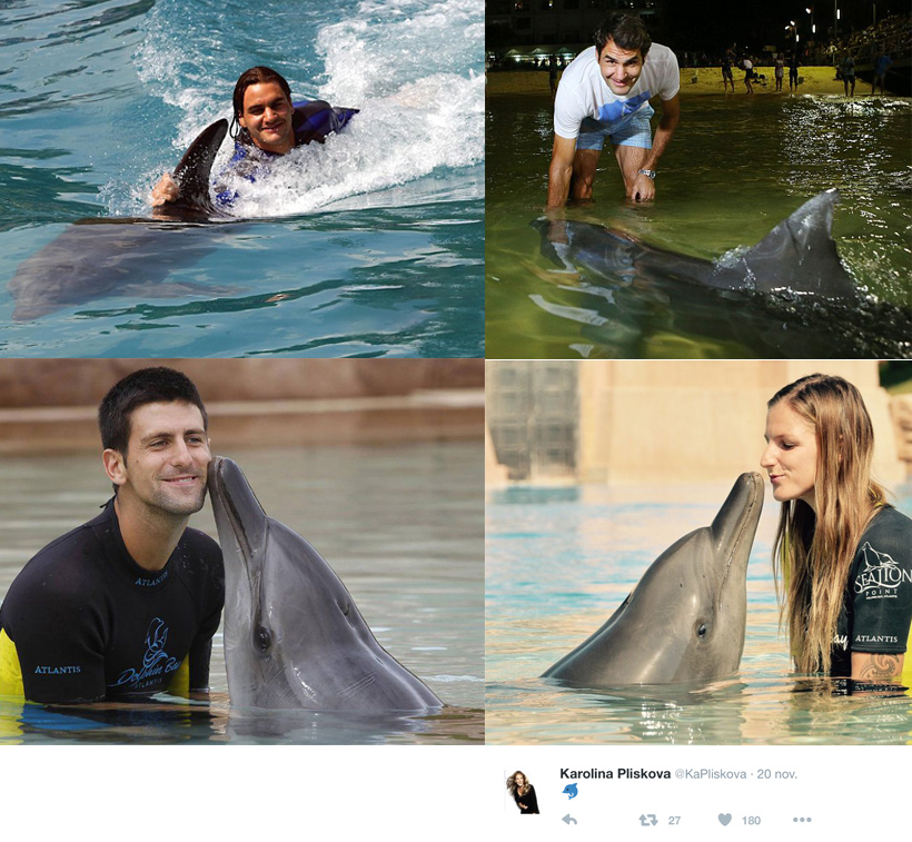 Tennis Stars in Interaktion mit Delfinen - Und trotzdem schweigen sie über die Verbrechen in Japan an Delfinen und Walen