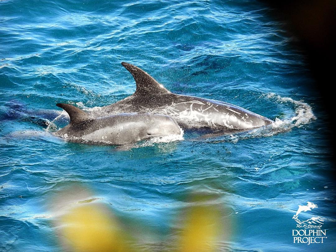 Mutter mit ihrem Baby in der Bucht das letztemal zusammen