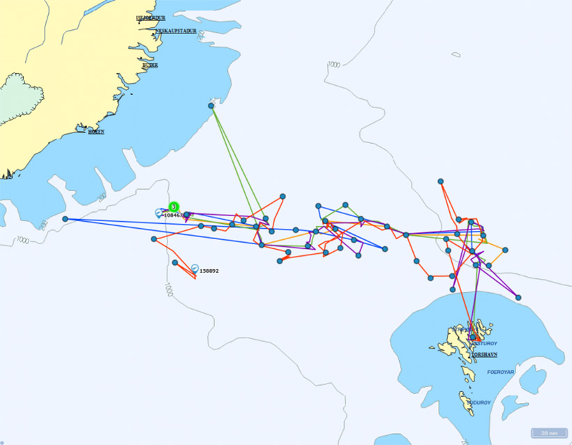 Auswertung der Logdatei - Wanderung der gewaltsam markierten fünf Pilotwale in den Färöer Inseln