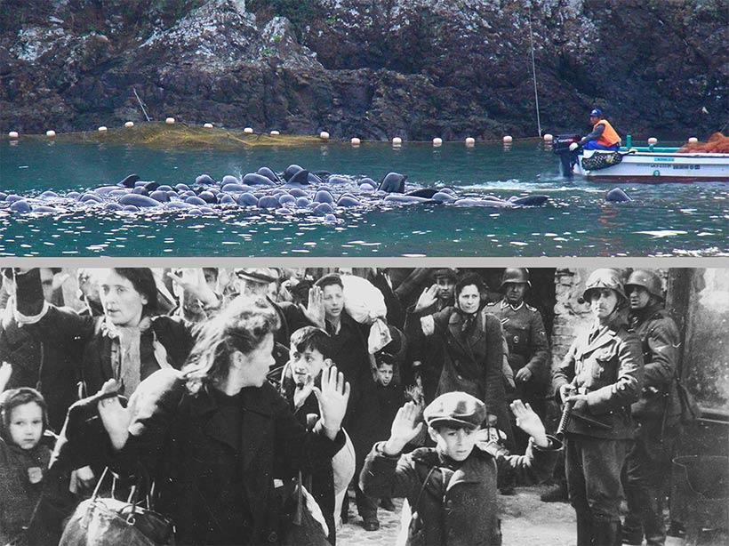 Der Genozid an Delfinen in Taiji ist im Schweregrad des Verbrechens vergleichbar mit dem Genozid an Juden durch die Nazis im 2. Weltkrieg