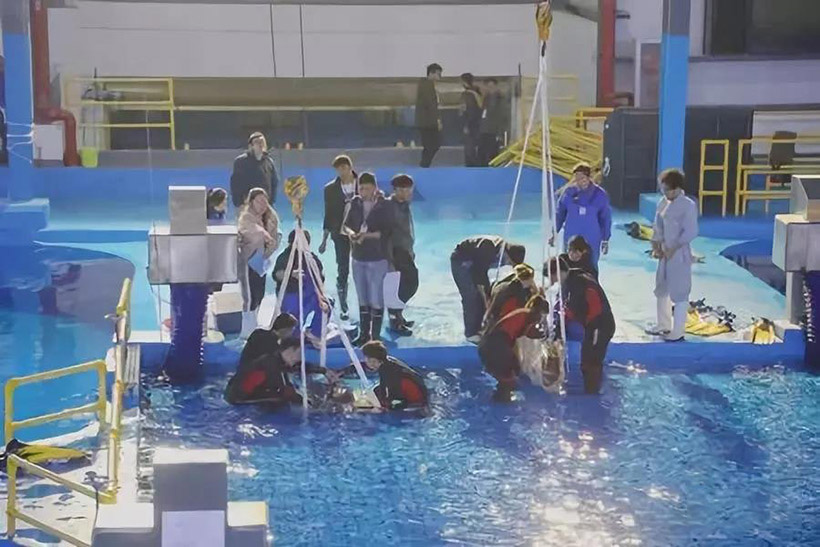 Mitte Februar 2019  wurden von Taiji 8 Delfine nach China geliefert