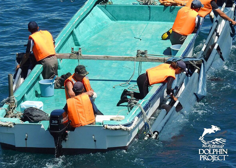 Show der Delfin-Entführer heute	vor den Kameras - Vor nicht langer Zeit, schmissen die Killer gestohlene Delfinkinder einfach ins Boot