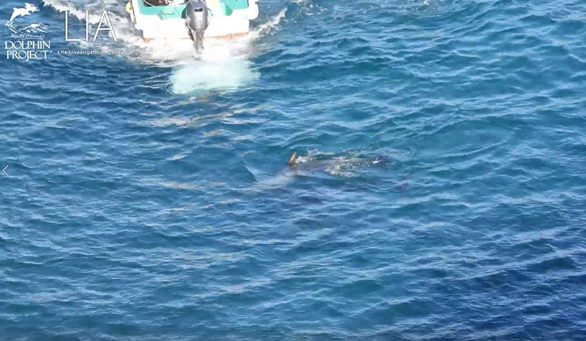Mutter und Baby die letzten Minuten zusammen bevor sie ermordet und ihr Baby lebend im Meer entsorgt wurde