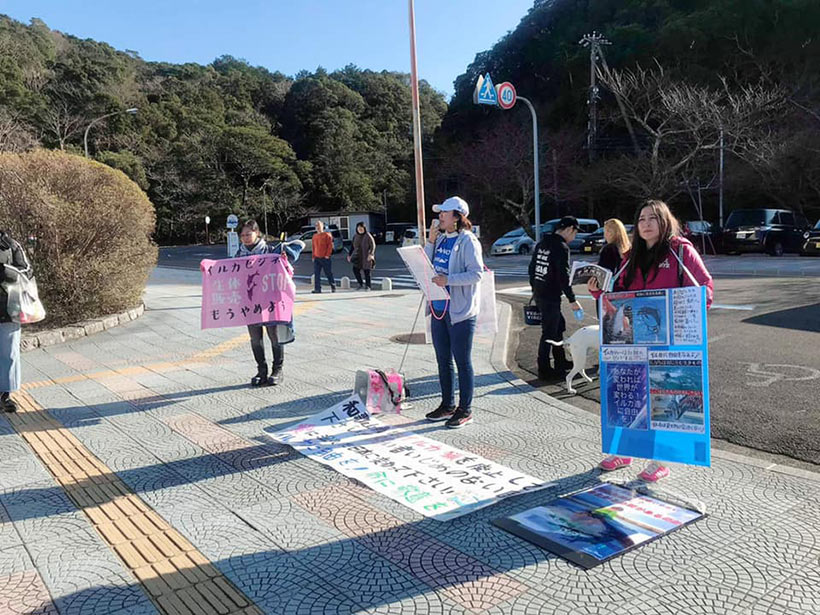 Japanische Protesters vor dem Whale Museum in Taiji
