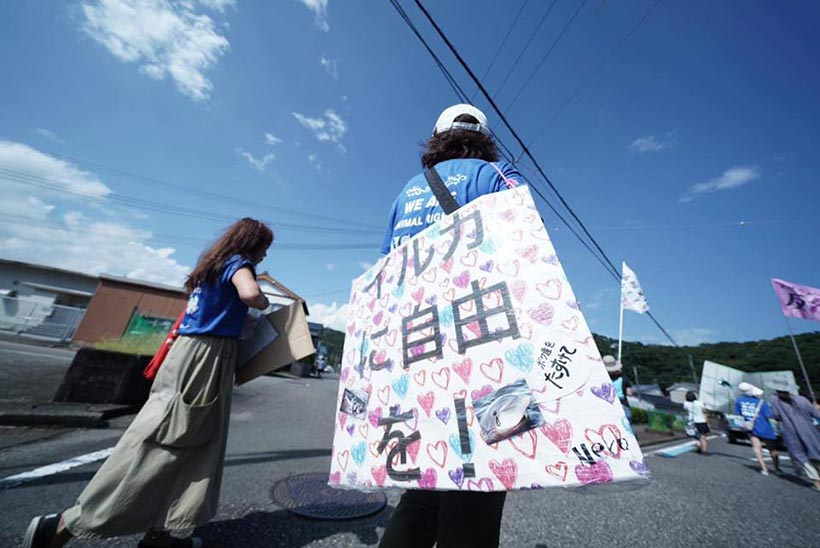 Japanische Protesters in Taiji geben den Delfinen eine Stimme