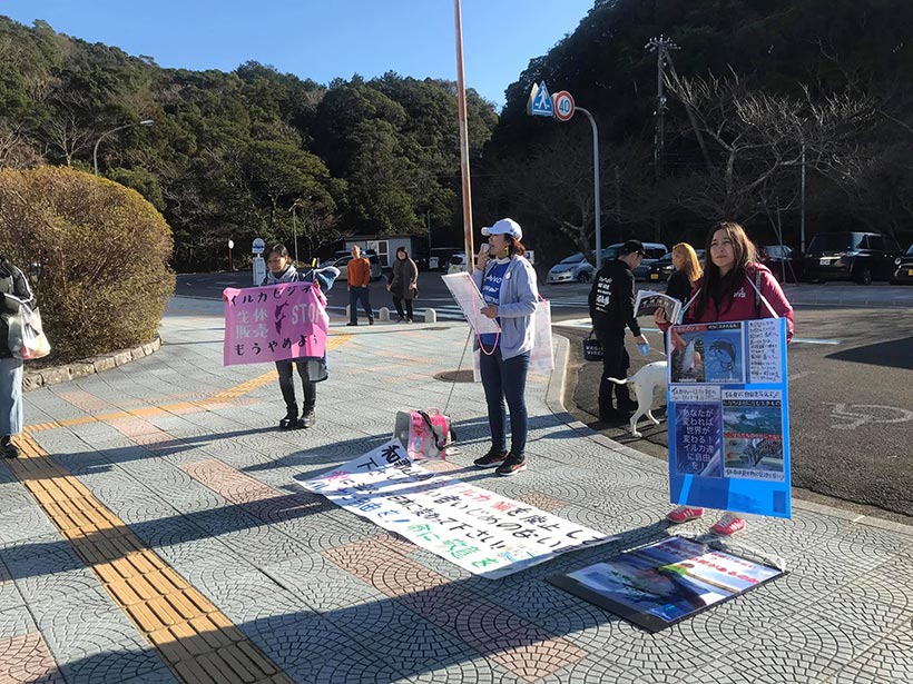 Grossrtige Protesters gaben zwei Tage lang den Delfinen in Taiji vor der Bucht und vor den Whale Museum eine Stimme 