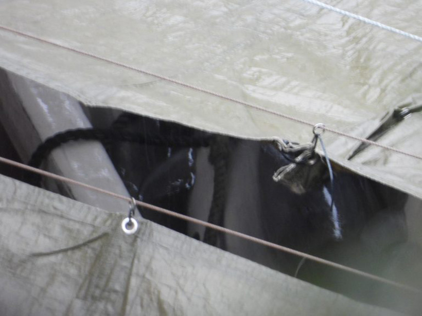 Weiteres seltenes Bild von heute dank Wind von unter den Planen. Ermordete Streifendelfine werden aufs Boot geladen