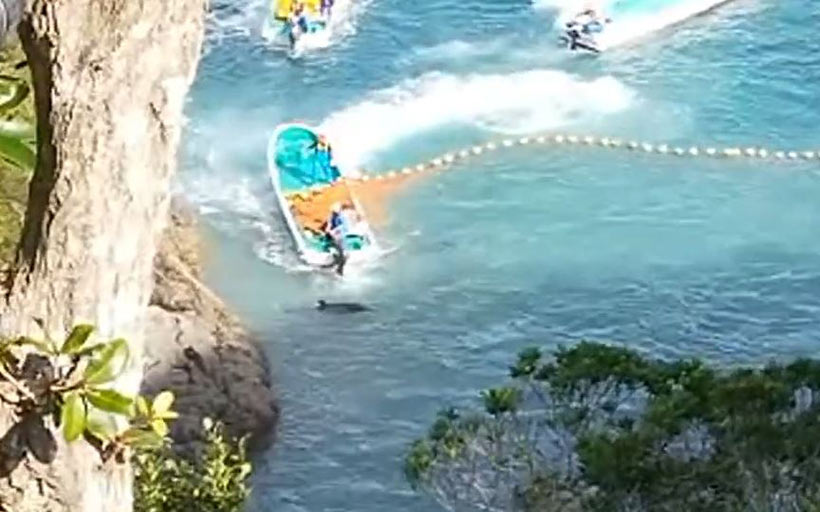 Bild: Monster terrorisieren mit den Motoren der Boote die Delfine