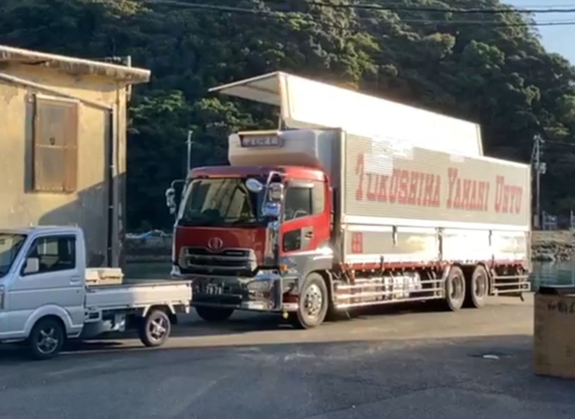 Auf diesen Lastwagen wurden heute zwei entführte Delfine verladen