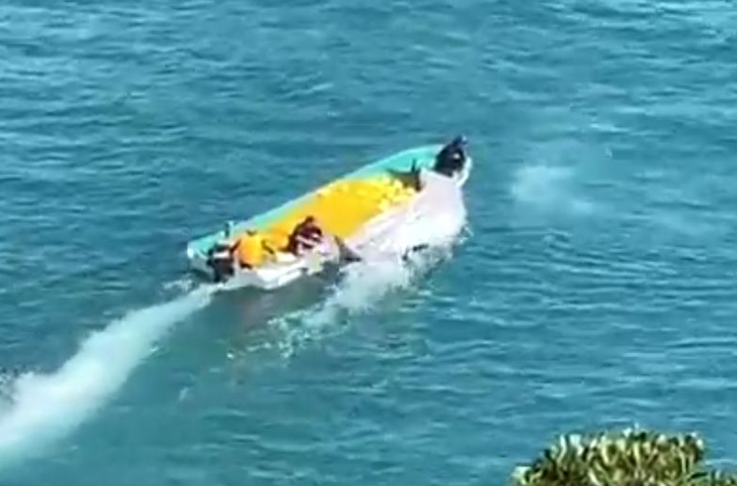 Einer der niedergestochenen Delfin lebt noch und schlägt während des Abtransport mit seiner Schwanzflosse aus. Die Killer zerstachen ihm vor etwa 20 Minuten vor Abtransport die Wirblsäule. 