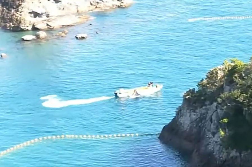 Einer der angeblich grausam getöteten Delfine, ans Boot gefesselt und mit einer grauen Plane abgedeckt, schlägt mit seiner Schwanzflosse aus