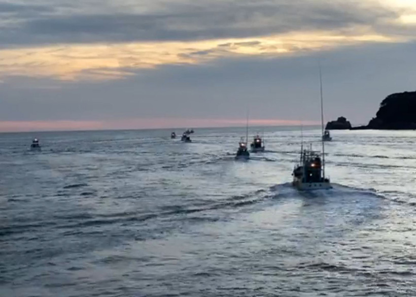 Die Delfinjadflotte verlässt den Hafen am frühen Morgen um Delfinfamilien zu quälen und zu terrorisieren