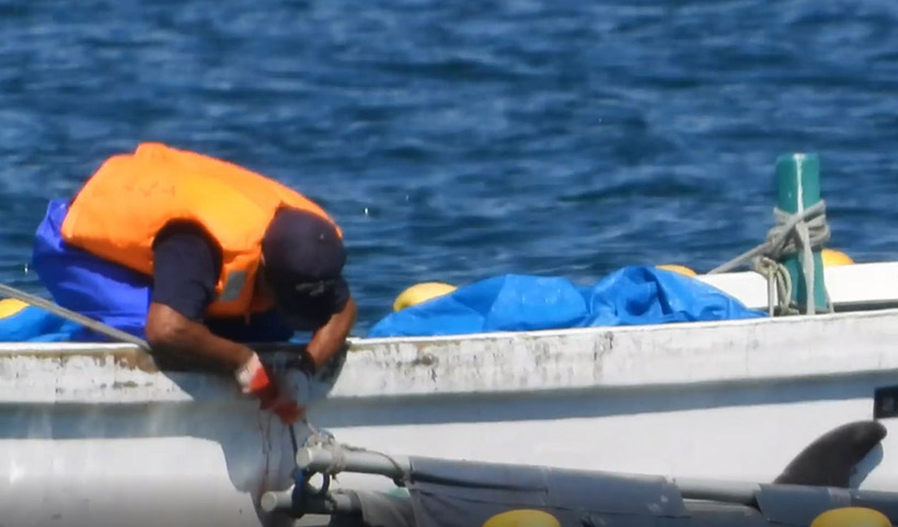 : Dieser Delfin wurde brutal niedergestochen, er oder ein anderer wurde vor dem Metzgerhaus gefilmt, wie er ans Boot gefesselt Wasser spritzend mit seiner Schwanzflosse umher schlug 