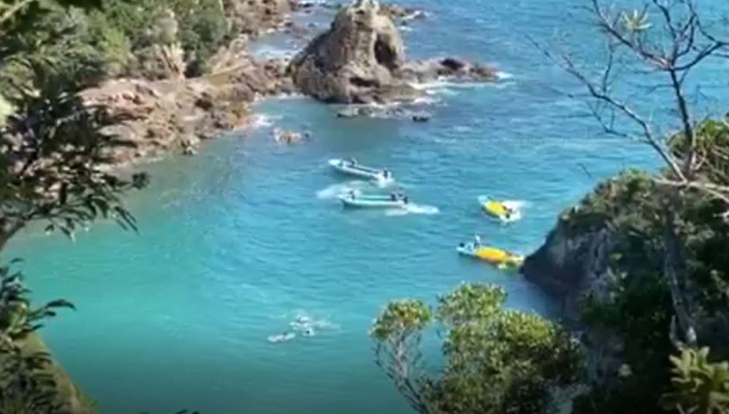 Die Risso's Delfinfamilie wird bis zum Ufer des Tötungsstrandes mit den Motoren der Boote terrorisiert
