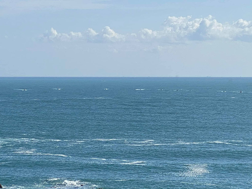 Die japanische Jagdflotte startet die unmenschliche, mehrstundige Treibjagd