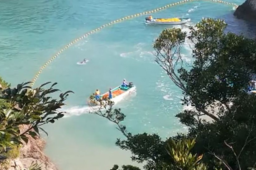 Gegen eine Stunde lang in der Bucht im Innennetz versuchen zwei jüngere Delfine den aggressiven japanischen Monster zu entkommen
