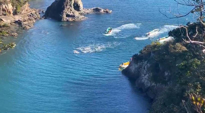Killer terrorisieren mit ihren Bootsmotoren die Delfinfamilie in Richtung Strand