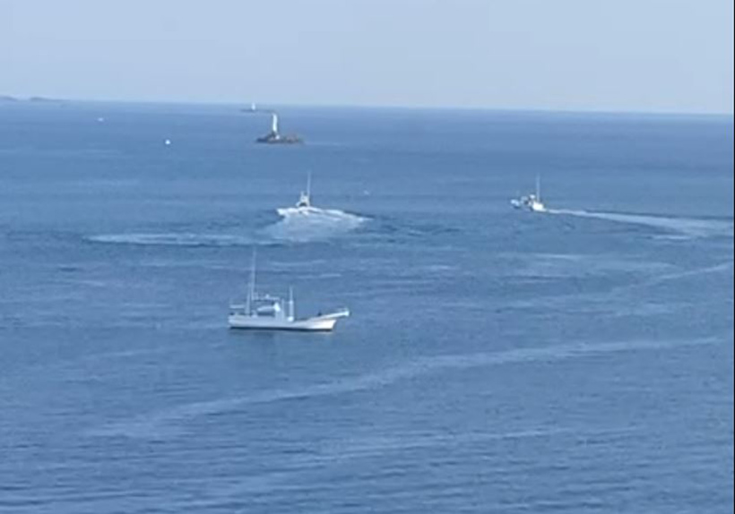 Nachdem die Delfine in die Bucht terrorisiert waren, suchten die Killer nach denen, die flüchten konnten