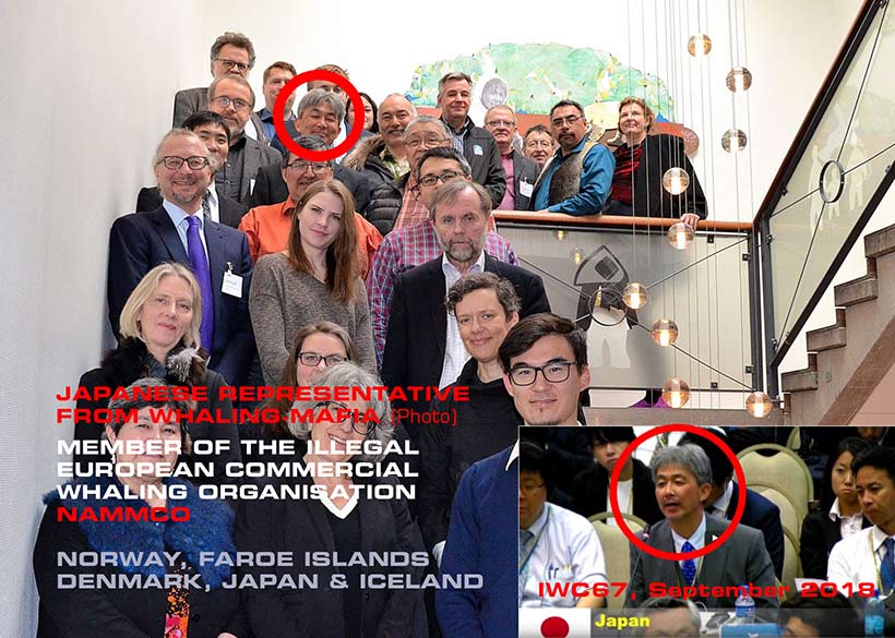 Bild: Berühmte Walfänger wie der Isländer Finwal und Blauwal Schlächter Kristjan Loftsson und andere Wal- und Delfinschlächter, Mitglieder der Scheinorganisation NAMMCO, sowie rot eingekreist, der japanische Regierungsvertreter, der die internationale Gemeinschaft mit Japan's kommerziellen Walfang erpesste