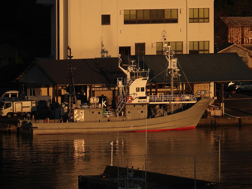 Bild Kunito Seko: Ein japanisches Walfangschiff liefert am 2. März 2021 im Metzgerhaus der Mafia-Zentrale von Taiji einen illegal ermordeten Wal ab. Dieses Verbrechen werden von der japanischen Regierung mit Lügen und Propaganda aus Gründen des Wahnsinns und Herrschaft über die Schwachen und Wehrlosen verteidigt, und mit 5,2 Milliarden Yen finanziert
