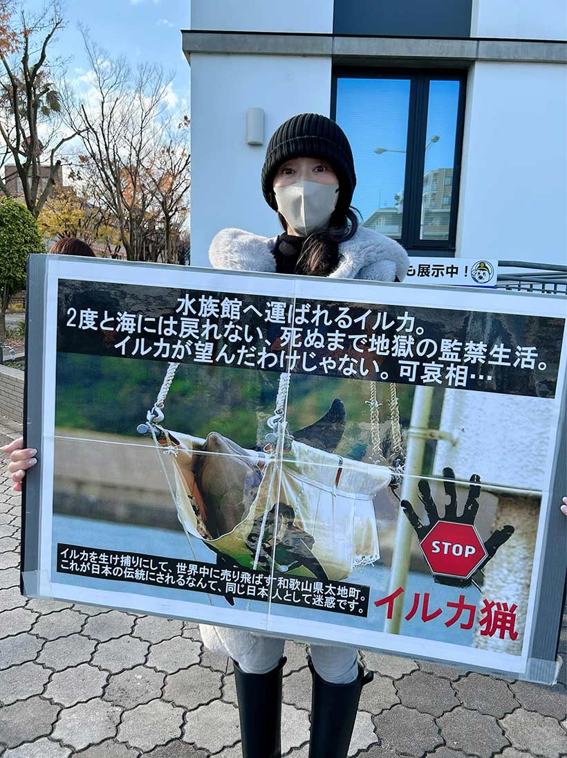 

Foto 8 by japanischen Aktivisten (Necko Chan), machen Druck auf den neuen Gouverneur in Wakayama, der die Delfiinjagd stoppen könnte