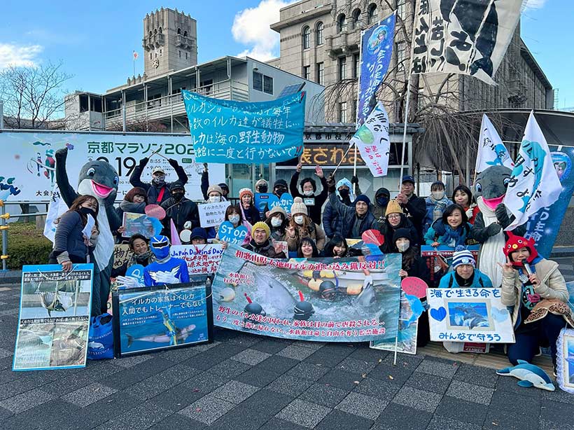 Foto 8 by japanischen Aktivisten, machen Druck auf den neuen Gouverneur in Wakayama, der die Delfiinjagd stoppen könnte