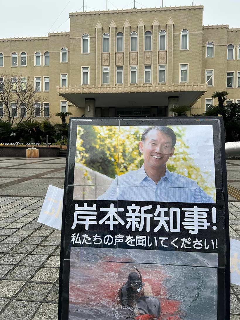 Foto 1 by japanischen Aktivisten, machen Druck auf den neuen Gouverneur in Wakayama, der die Delfiinjagd stoppem könnte