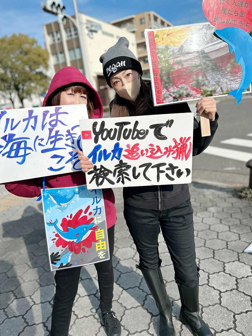 Foto 4 by japanischen Aktivisten, machen Druck auf den neuen Gouverneur in Wakayama, der die Delfiinjagd stoppem könnte