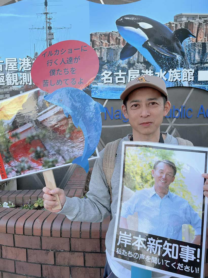 Foto 6 by japanischen Aktivisten, machen Druck auf den neuen Gouverneur in Wakayama, der die Delfiinjagd stoppen könnte