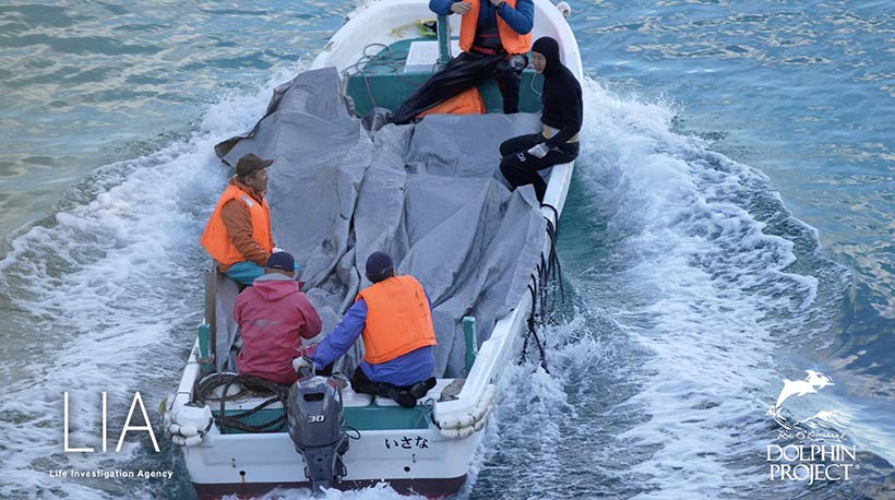 Fünf Massenmörder, die Delfin-Misshandlung als selbstverständlich erachten, transportieren ihre 16 geschundenen Opfer unter Planen vor der Öffentlichkeit versteckt zum Metzgerhaus. Enige Opfer sind villeicht tot, andere Querschnittgelähmt und verbluten auf dem Weg ins Metzgerhaus innerlich