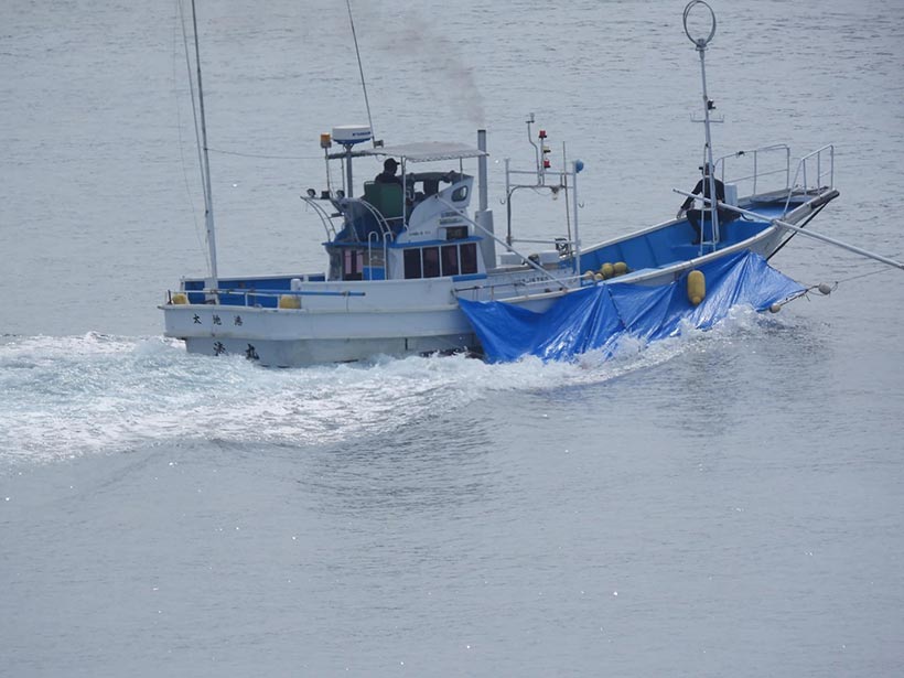 Bild by Kunito Seko: Jagdschiff transportiert die halbtote oder tote Delfine zum Metzgerhaus